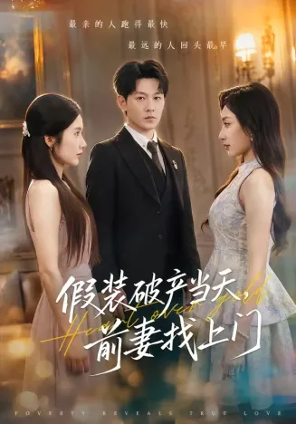 假装破产当天，前妻找上门封面