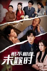 恨不相逢未嫁时30集在线观看
