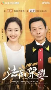 法官的荣耀在线观看