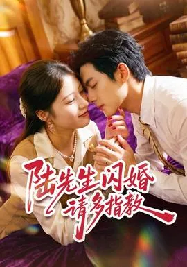 陆先生闪婚请多指教