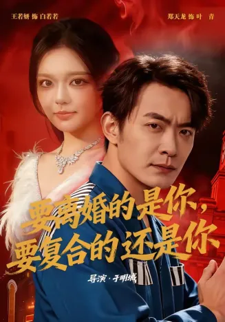 要离婚的是你,要复合的还是你