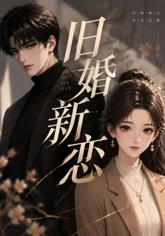 旧婚新恋封面