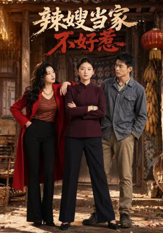 辣嫂当家不好惹