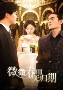 微微春雨无归期在线观看