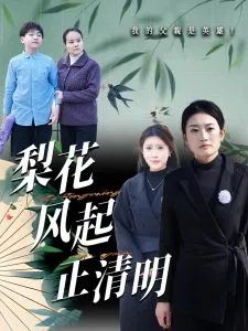 梨花风起正清在线观看
