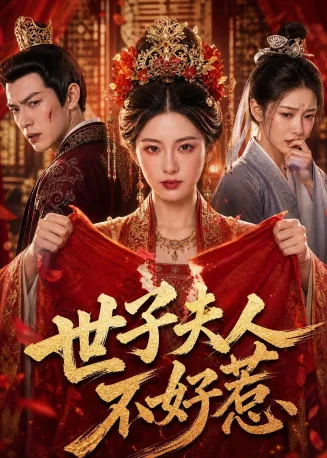 世子夫人不好惹