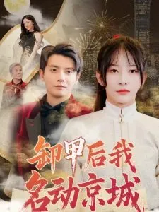 卸甲后我名动京城在线观看