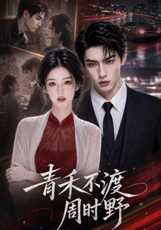 青禾不渡周时野在线观看