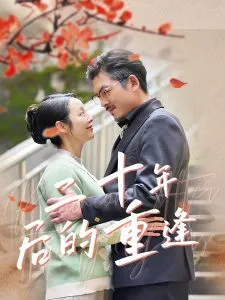 二十年后的重逢在线观看