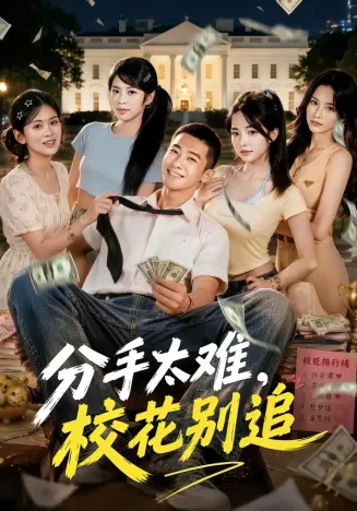 分手太难,校花别追