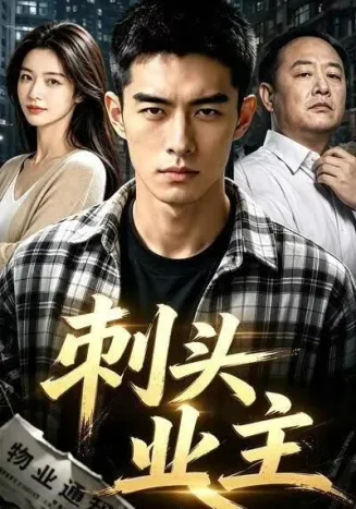 刺头业主