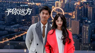予你远方封面