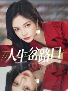 人生岔路口在线观看