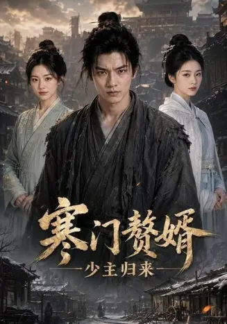 寒门赘婿少主归来