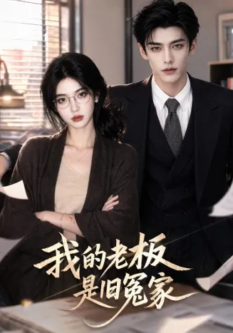 我的老板是旧冤家海报
