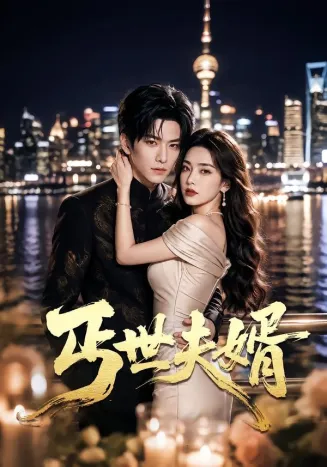 丐世夫婿海报