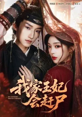 我家王妃会赶尸
