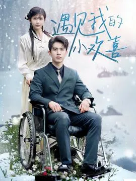 遇见我的小欢喜在线观看