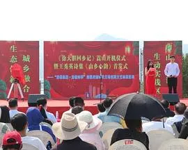 徐大胆回乡记封面
