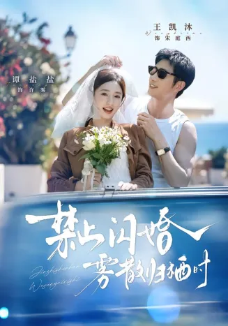 禁止闪婚,雾散归栖时