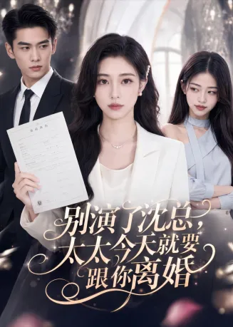 别演了沈总,太太今天就要跟你离婚