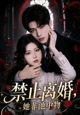 禁止离婚,她非池中物在线观看