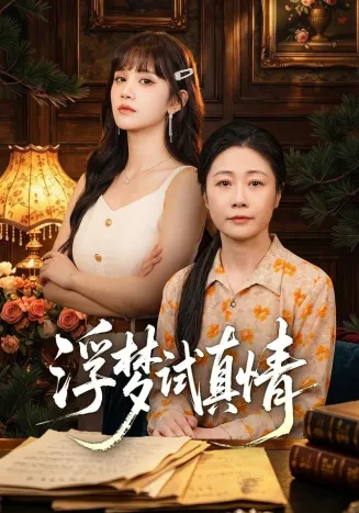 浮梦试真情封面