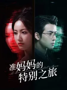 准妈妈的特别之旅在线观看