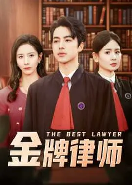 金牌律师在线观看