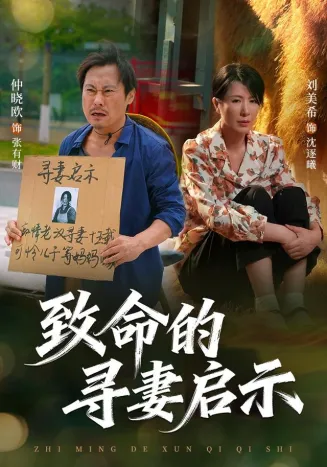 致命的寻妻启示封面