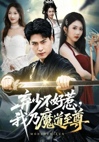 弃少不好惹，我乃魔道至尊封面