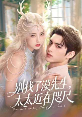 别找了漠先生，太太近在咫尺海报