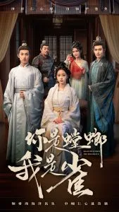你是螳螂我是雀在线观看