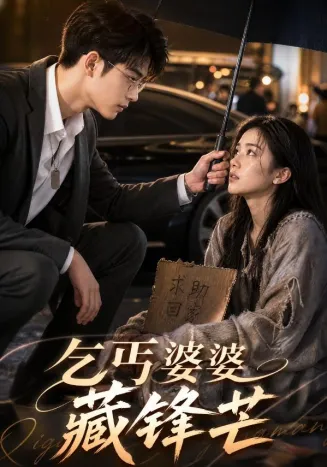 乞丐婆婆藏锋芒在线观看