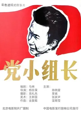 党小组长[电影解说]