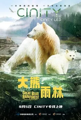 大熊雨林预告片封面