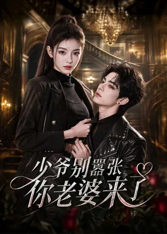少爷别嚣张你老婆来了