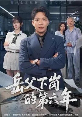 岳父下岗的第六年封面