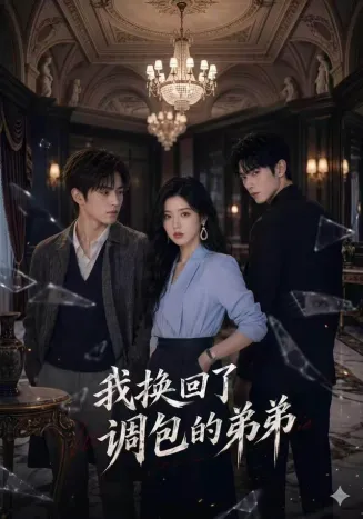 我换回了调包的弟弟封面
