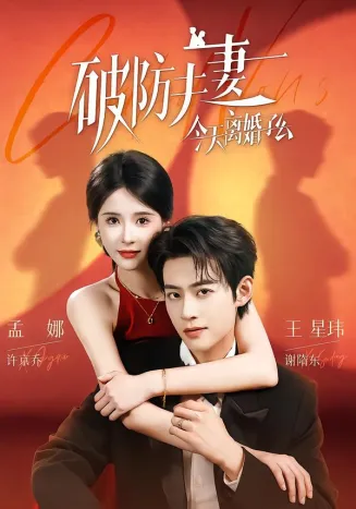 破防夫妻今天离婚了么在线观看