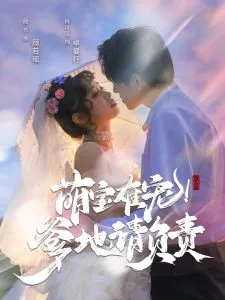 萌宝难宠！爹地请负责在线观看