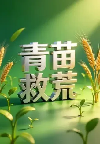 青苗救荒5