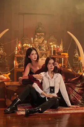 命运的凝视封面