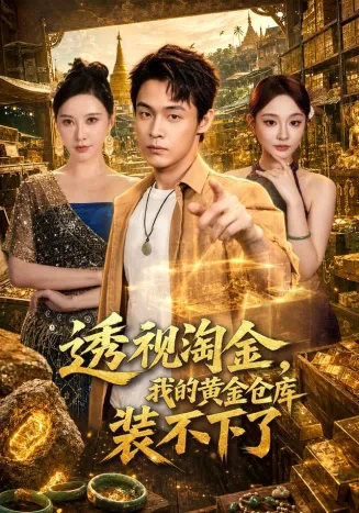 透视淘金，我的黄金仓库装不下了封面