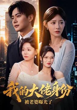 我的大佬身份被老婆曝光了