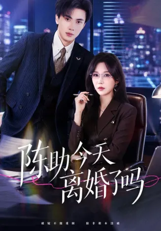 陈助今天离婚了吗在线观看