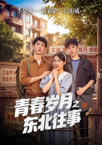 青春岁月之东北往事在线观看