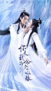你是我的命定仙缘在线观看