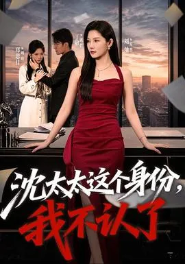 沈太太这个身份，我不认了封面