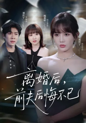 离婚后前夫后悔不已在线观看